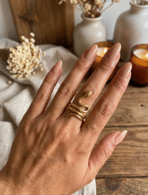 Anillo Acero Vibora Audaz