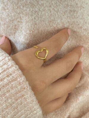 Anillo Acero Corazon Silvestre