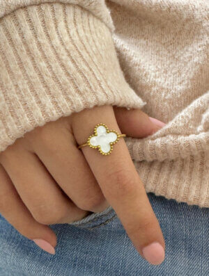 Anillo Acero Suerte Dorada