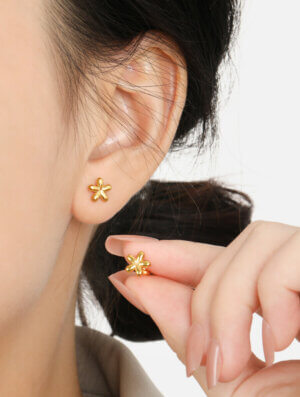 Aretes Topo Jardin Secreto