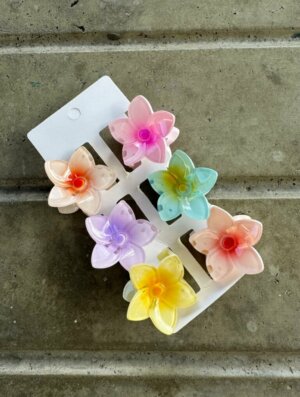 Set Pinzas Flor Colorida