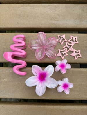 Set Pinzas x10 Fucsia