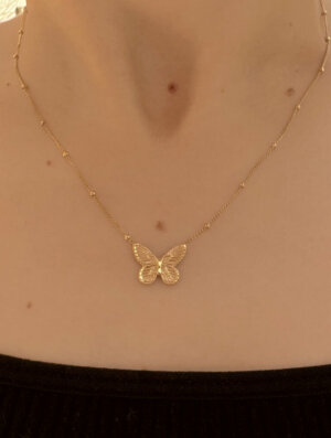 Collar Acero Mariposa de-Luz