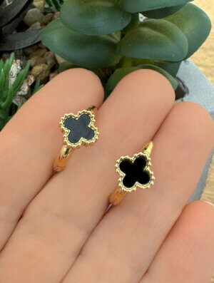 Aretes Acero Brote Negro
