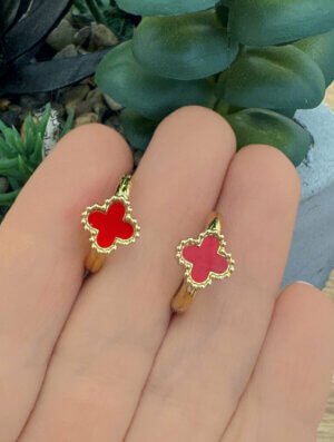 Aretes Acero Brote Rojo