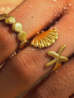 Set Anillo Vida Marina