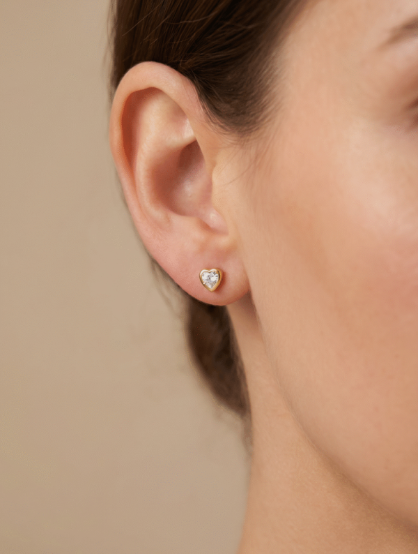 Aretes Acero Topo Secreto