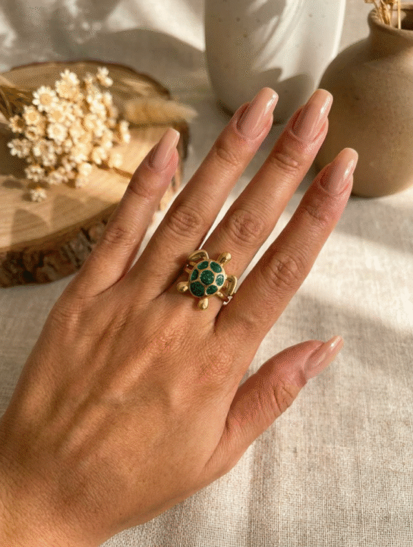 Anillo Acero Tortuga Acuatica