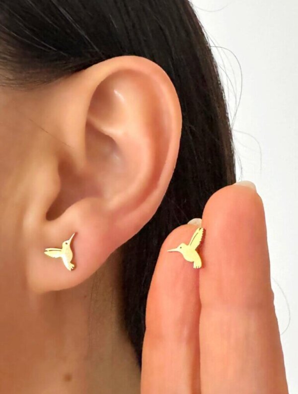 Aretes Acero Mini Colibri