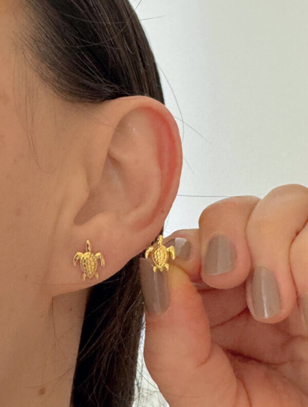 Aretes Acero Mini Tortuga